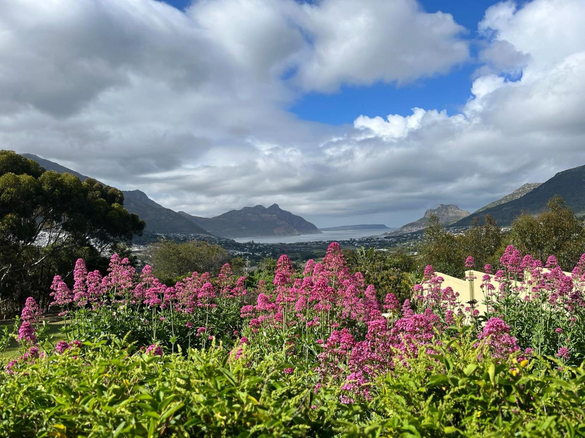 Pure Guest House Hout Bay Exterior foto